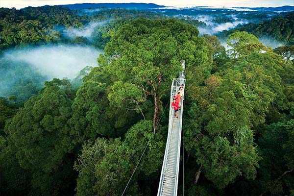 http://Tourists%20walking%20the%20Monteverde%20Cloud%20Forest%20canopy%20hanging%20bridges%20in%20Costa%20Rica